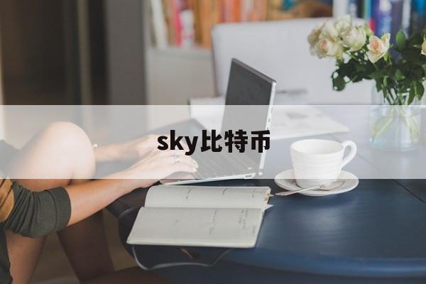 sky比特币(比特币to the moon)